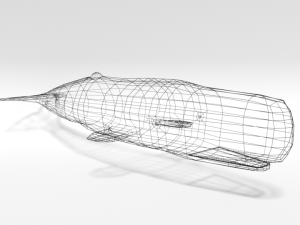 low poly cartoon sperm whale 3D Model