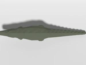 low poly cartoon crocodile 3D Model