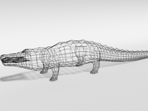 low poly cartoon crocodile 3D Model
