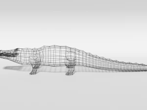 low poly cartoon crocodile 3D Model
