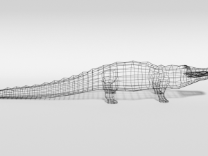 low poly cartoon crocodile 3D Model