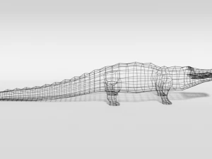 low poly cartoon crocodile 3D Model