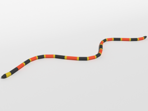 low poly cartoon coral snake 3D Model