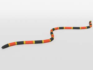low poly cartoon coral snake Modèle 3D