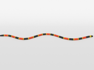 low poly cartoon coral snake Modèle 3D