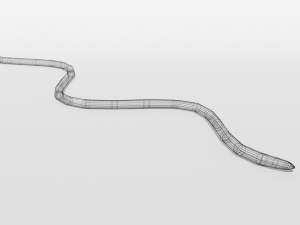 low poly cartoon coral snake Modèle 3D