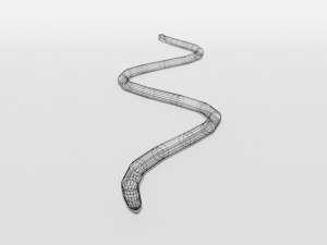 low poly cartoon coral snake Modèle 3D
