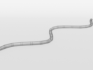 low poly cartoon coral snake Modèle 3D