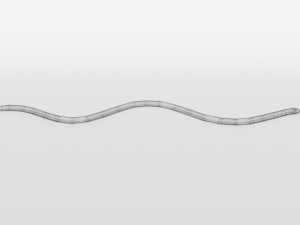 low poly cartoon coral snake Modèle 3D