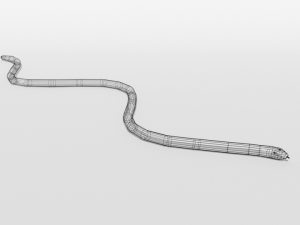 low poly cartoon coral snake Modèle 3D