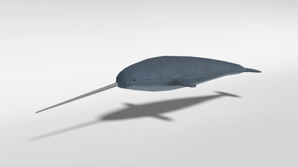 low poly cartoon narwhal 3D Model .c4d .max .obj .3ds .fbx .stl .blend