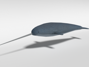 low poly cartoon narwhal 3D Model