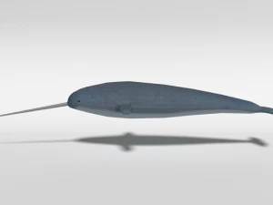low poly cartoon narwhal 3D Model
