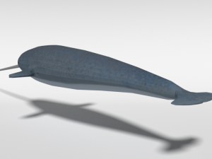 low poly cartoon narwhal 3D मॉडल