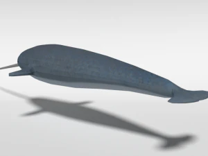 low poly cartoon narwhal 3D Model