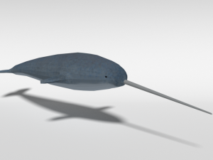 low poly cartoon narwhal 3D मॉडल
