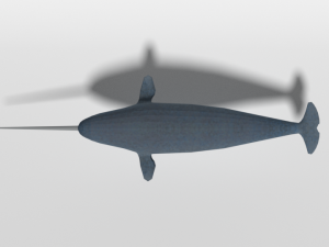 low poly cartoon narwhal 3D मॉडल