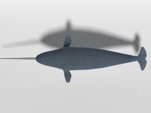 low poly cartoon narwhal 3D Model