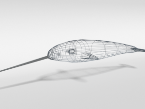 low poly cartoon narwhal 3D मॉडल