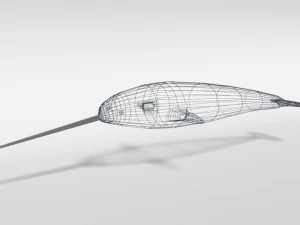 low poly cartoon narwhal 3D Model