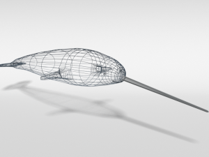 low poly cartoon narwhal 3D मॉडल
