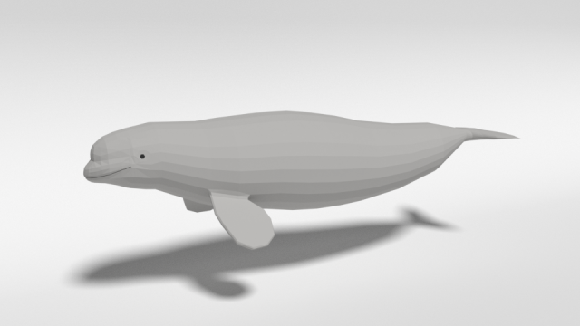 low poly cartoon beluga whale 3D 모델 .c4d .max .obj .3ds .fbx .stl .blend 