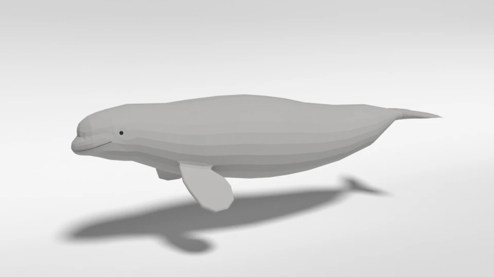 low poly cartoon beluga whale 3D Model .c4d .max .obj .3ds .fbx .stl .blend
