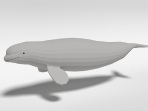 low poly cartoon beluga whale 3D Model