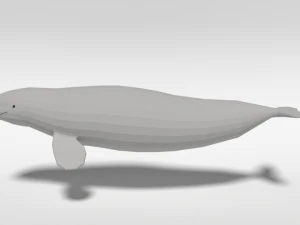 low poly cartoon beluga whale 3D Model
