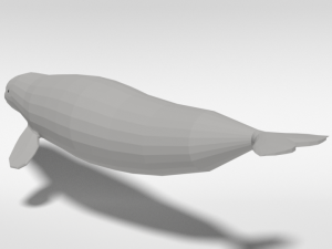 low poly cartoon beluga whale 3D 모델