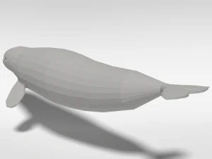 low poly cartoon beluga whale 3D Model