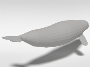 low poly cartoon beluga whale 3D 모델