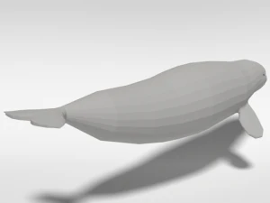 low poly cartoon beluga whale 3D Model