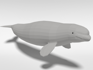 low poly cartoon beluga whale 3D 모델
