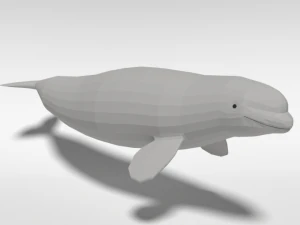 low poly cartoon beluga whale 3D Model