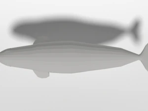 low poly cartoon beluga whale 3D Model