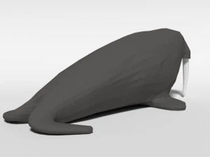 low poly cartoon walrus 3D Model