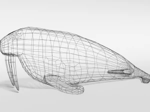 low poly cartoon walrus 3D Model