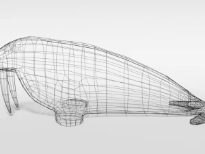 low poly cartoon walrus 3D Model
