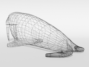 low poly cartoon walrus 3Dモデル