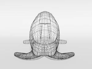 low poly cartoon walrus 3D Model