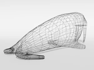 low poly cartoon walrus 3D Model