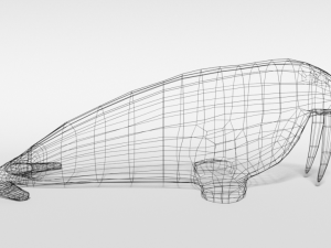low poly cartoon walrus 3Dモデル