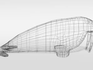 low poly cartoon walrus 3D Model