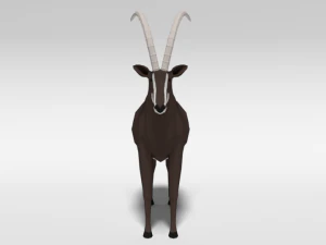 low poly cartoon sable antelope 3D Model