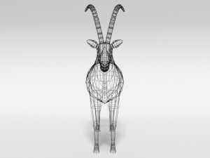 low poly cartoon sable antelope Modelo 3D