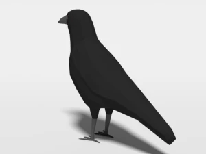 low poly cartoon crow 3D Model