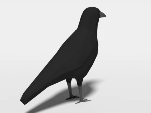 low poly cartoon crow 3D Model