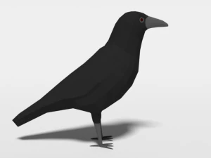 low poly cartoon crow 3D Model