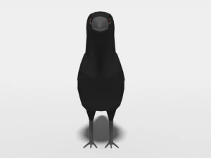 low poly cartoon crow 3D Model